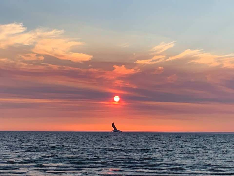 Devonshire Beach, Alberta